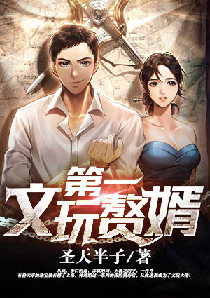 第一文玩贅婿