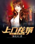 上門龍婿又名狂婿當道百度網盤下載