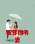 權寵錦繡妻
