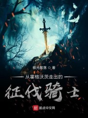 從霍格沃茨走出的征伐騎士