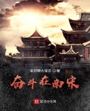 奮鬥在南宋