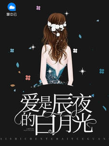 愛是辰夜的白月光