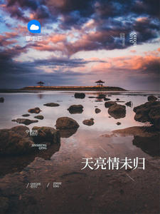 天亮情未歸