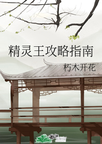 精靈王攻略指南