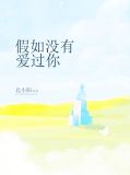 如果我沒愛過你小說