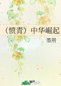 （憤青）中華崛起