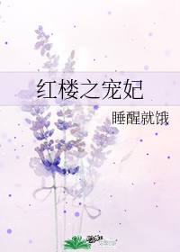 紅樓之寵妃