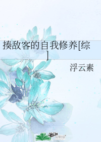 揍敵客的自我修養[綜]