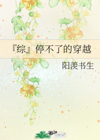 『綜』停不了的穿越
