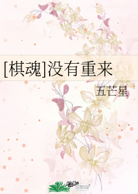 [棋魂]沒有重來