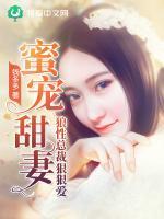 一見總裁聚歡顏安瀟瀟