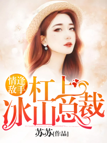 杠上冰山總裁：情逢敵手