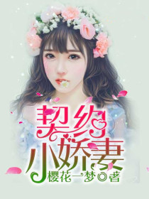 契約小嬌妻