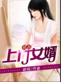 上門龍婿（又名：極品上門女婿）