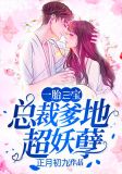 一胎三寶：總裁爹地超妖孽