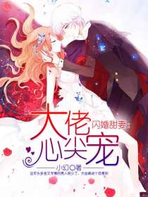 閃婚甜妻：大佬心尖寵