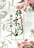 卸甲後我待字閨中