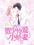 賀少憐愛小嬌妻莫宛溪賀煜城無風清