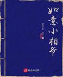 如意小相爺
