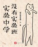 實驗中學沒有實驗班