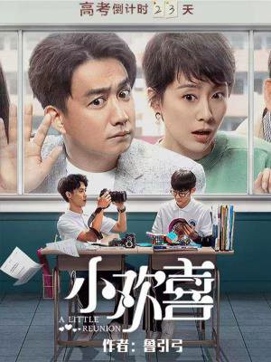 小歡喜（黃磊、海清主演影視原著）