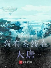 我有系統在大唐