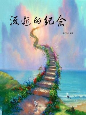 流逝的紀念