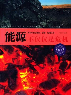 能源：不僅僅是危機