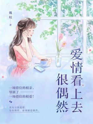 愛情看上去很偶然