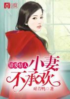 小說錯妻