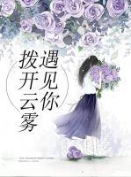 撥開雲霧遇見你