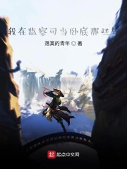 我在監察司當卧底那些年