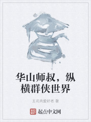 華山師叔，縱橫群俠世界
