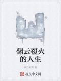 翻雲覆火的人生小說