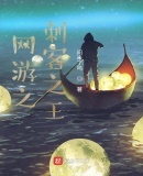 網遊之刺客之王