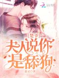 楚爺,夫人說你是舔狗小說
