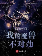 我的魔獸不對勁
