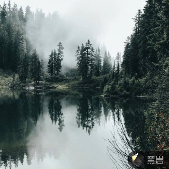 我在末世稱帝了