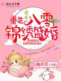 重生八零錦繡盛婚