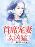大佬寵妻好兇猛
