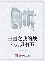 三國之我的戰鬥力只有五