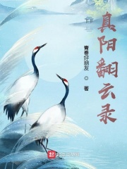 真陽翻雲錄