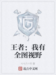 王者：我有全圖視野