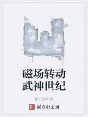 磁場轉動武神世紀