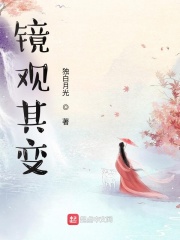 鏡觀其變