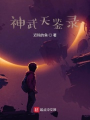 神武天鑒錄
