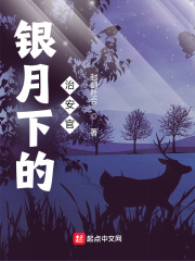 銀月下的治安官