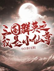 三國群英之我是小仙尊