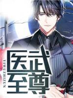 醫武至尊