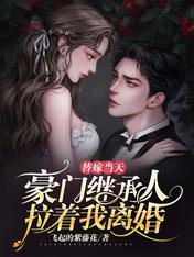 替嫁當天，豪門繼承人拉着我離婚